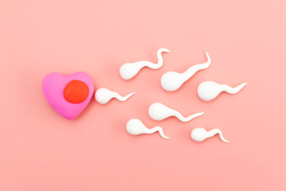 Top 5 Ways to Increase Sperm Count and Motility - Mon Amie